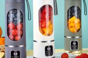 07-01 Smoothiemaker HS-860 (lila)