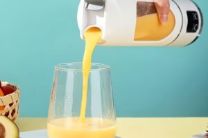 08-03 Smoothiemaker HS-860 (weiss)