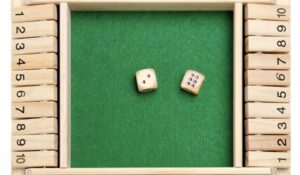 119.1 würfelspiel (1 10)