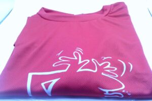 43-01 T-Shirt freche La Linea