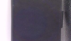 66 02 handyhülle the kase (iphon 17 und 17pro)